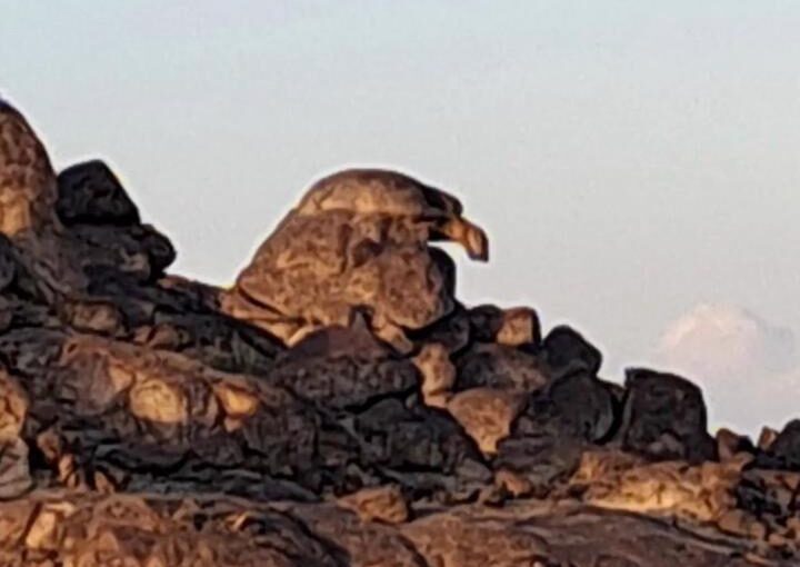 Eagle Rock Hike