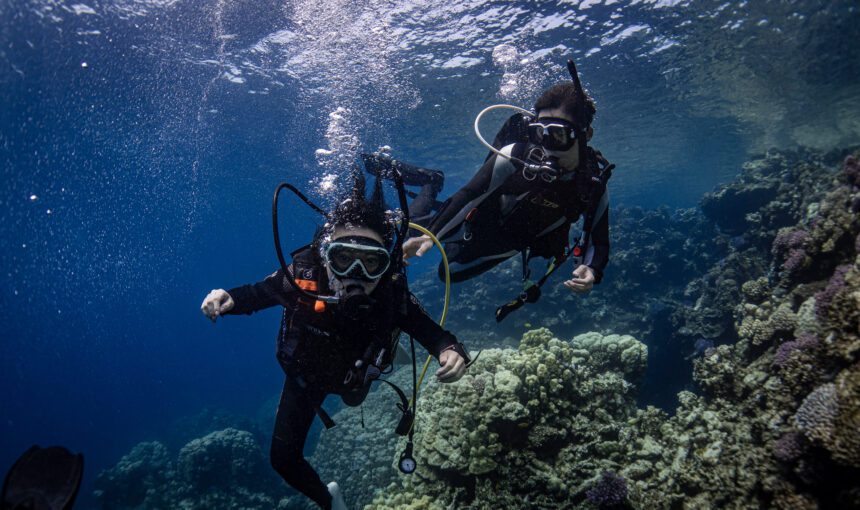 [Certified Only] Scuba Diving Boat Trip